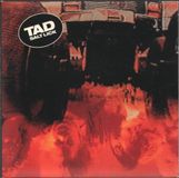 Salt Tad - Salt Lick