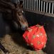 Imperial Riding Hooizak Appel - Rood