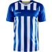 Craft Progress 2.0 Stripe Shirt Korte Mouw Heren - Royal / Wit