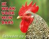 Stickerkoning.nl Haan Waakbord - Ik waak voor mijn Baas