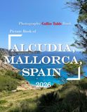 Alcudia, Mallorca, Spain: Beautiful photos showing an amazing country, its architecture and unique charm-perfect for travel lovers.
