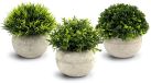 Unyqoos® Set van vier decoratieve kunstplanten met potten