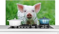 KitchenYeah Spatscherm keuken 120x60 cm - Varken - Aluminium