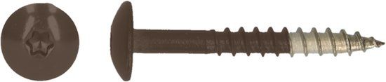 pgb-Europe PGB-FASTENERS HPL schroef Tx20 4,8x38 R8014 A4