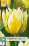 Jub Tulipa Sweet Valley bloembol JUB 5 stuks