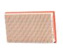 MANN-FILTER C 2552/2 luchtfilter