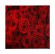 Homemania Wandfoto, bloemen, natuur, voor woonkamer, slaapkamer, meerkleurig, 60 x 3 x 60 cm, HM20KNV60 x 60 – 203, polyester, hout