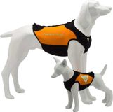Cressie Dog Wetsuit 3mm Neopreen Oranje Rits Unisex XL