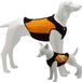 Cressie Dog Wetsuit 3mm Neopreen Oranje Rits Unisex XL