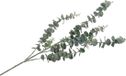 DK Design Kunstbloem Eucalyptus tak Real Touch - 88 cm - groen