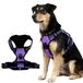 Harnais pour chien réfléchissant violet M