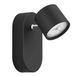 Philips Hue Philips Star Plafond-/Wandspot Zwart
