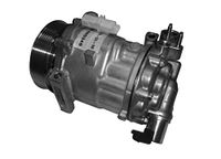 Valeo Compressor, Airconditioning, Voorgevuld met Olie, 699349
