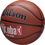 Wilson Jr NBA Fam Logo Auth In Out Ball, Unisex, Bruin, basketbal, maat: 7