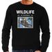 Bellatio Decorations Koala foto sweater zwart voor heren - wildlife of the world cadeau trui Koala's liefhebber 2XL
