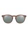 Alsteca Wynwood C06 Zonnebril Bruin