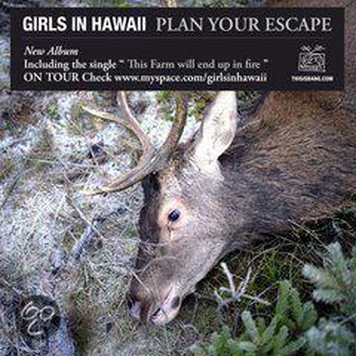 PIAS Nederland Girls In Hawaii - Plan Your Escape