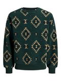 JACK&JONES JOREDDIE TEDDY CREW NECK T25 Heren Sweaters