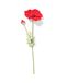HEMA Pavot Artificiel 55 cm Caoutchouc Rouge