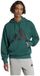 Adidas Essentials Big Logo French Terry Hoodie Groen M Man