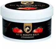 Excellent Horse Bit & Mouth Balm