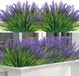 Bol 8 Bundels Lavande artificielle - Réaliste et résistant aux intempéries - Pour extérieur, jardin, balcon et table - Lilas