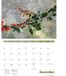 CAROUSEL CALENDARS Tuinvogels A4 Kalender 2027