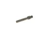 BOSCH Einspritzventil 0437502035