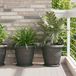 Maison Exclusive - Jardinière, lot de 24 pièces, noir, diamètre 39 cm, hauteur 32 cm, en plastique