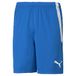 PUMA heren Shorts Teamliga Shorts
