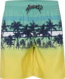 Blend Zwemshort Heren Dress Blues Printopdruk Elastiek/Koordsluiting Polyester M