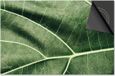 Dietrix Inductie beschermer 81x52 - Leaves - 5 Lichtgroene nerf blad