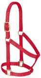 Weaver Leather Basic niet-verstelbaar nylon paardenhalster, rood, 2,5 cm, klein paard