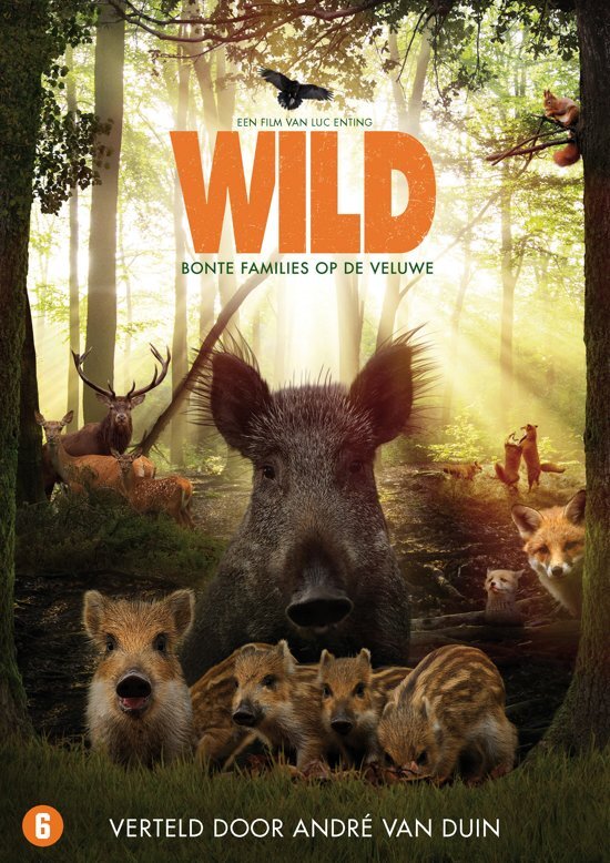 BLURAY Wild dvd