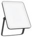 Ledvance Projecteur LED Extérieur 30W 2700lm 4000K IP65 Noir Essentials