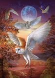 Art Puzzle puzzle Moonlight Owls - 1000 stukjes karton.