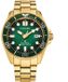 Citizen Promaster Dive BN0262-59W Horloge - Staal - Goudkleurig - Ø 41 mm