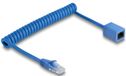 Delock 90365 netwerkkabel Blauw 1,2 m Cat6 U/UTP Rond