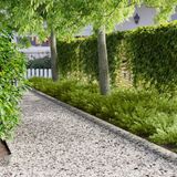vidaXL Gazonrand 10 st 103 x 15 cm staal zilver
