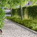 vidaXL Gazonrand 10 st 103 x 15 cm staal zilver