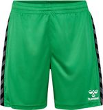 Hummel Hmlauthentic Pl Shorts Kids 219971