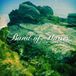 Bertus Distributie Band Of Horses Mirage Rock