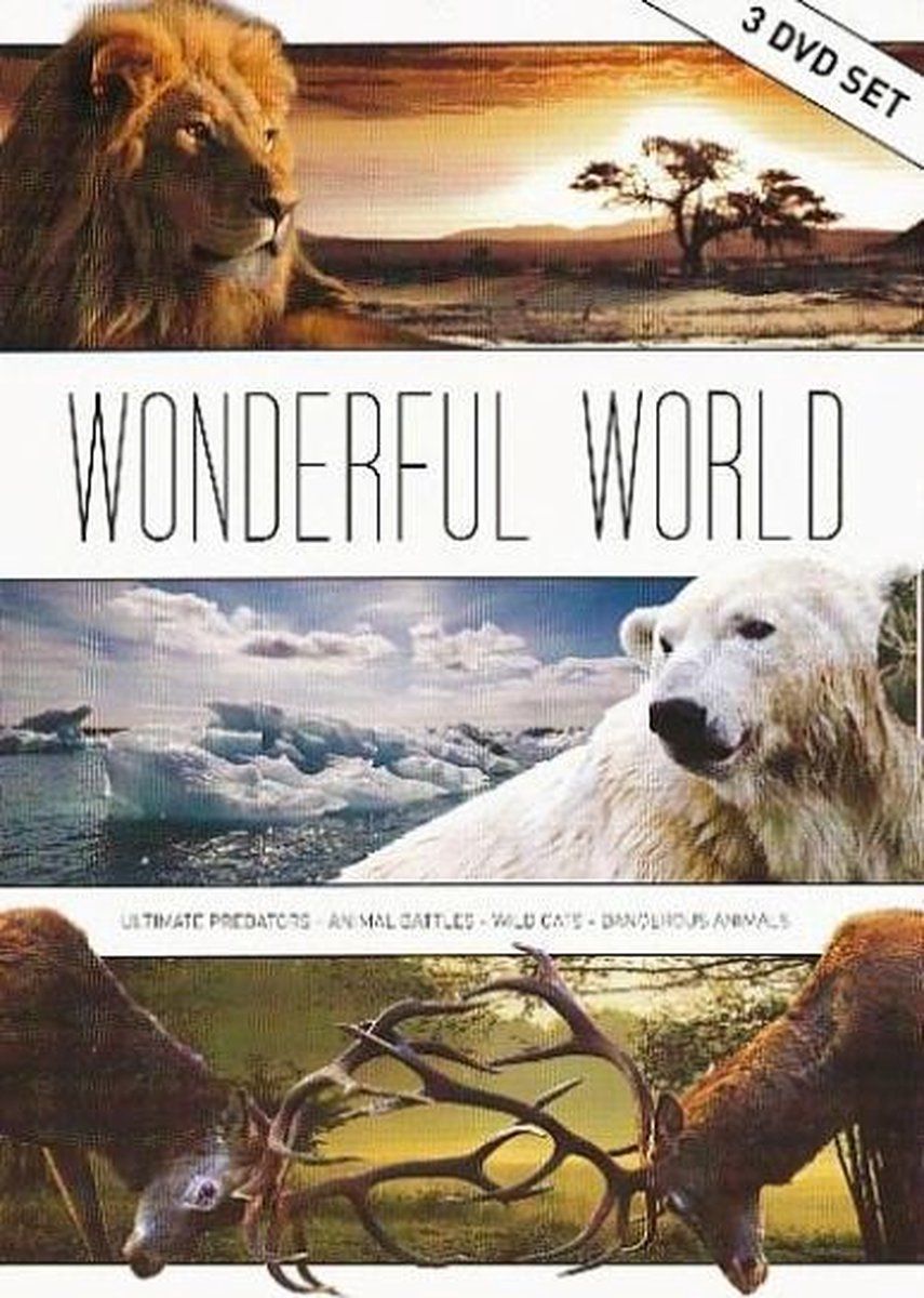BAECKENS Wonderful World Box / Documentary / 2021