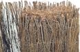 Tuindeco Bamboe schutting 100 cm x 24 cm Horizontaal Bruin