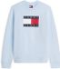 Tommy Hilfiger Tommy Jeans Dames Trui Katoen M Blauw Herfst/Winter 2026