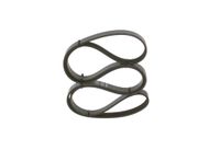 BOSCH Keilrippenriemen 1987948311