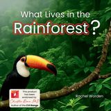 What Little Dandelion Press What Lives in the Rainforest? Paperback