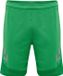 Hummel Hmllead Poly Shorts 207395