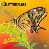 Butterflies Browntrout Publishers Butterflies - Schmetterlinge 2027 - 16-Monatskalender