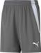 Puma Teamliga Short Kinderen - Grijs | Maat: 140